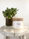 NATURAL SOY CANDLE - L